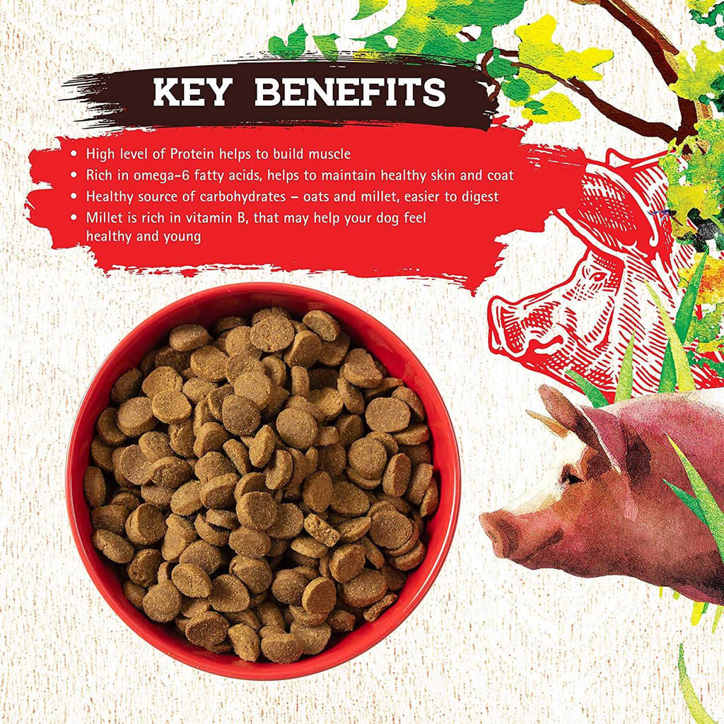 Pork Recipe Dog Food A65801