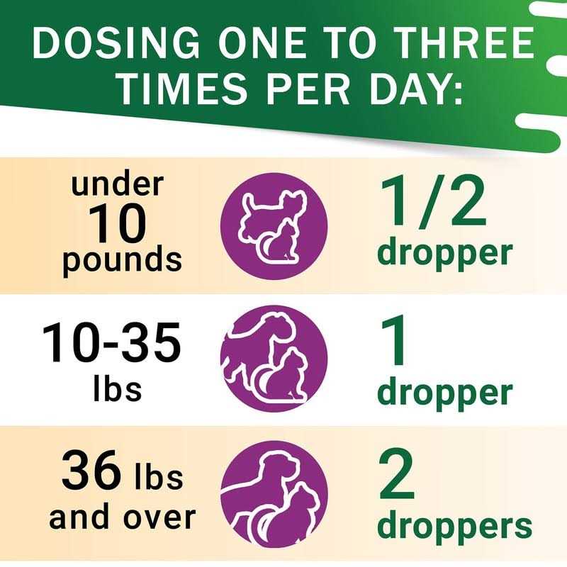 Adrenal Balance for Dogs and Cats V982