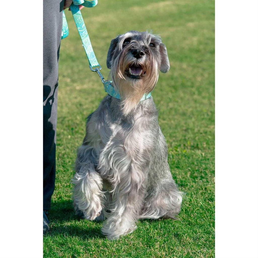 Martingale Collar E6962
