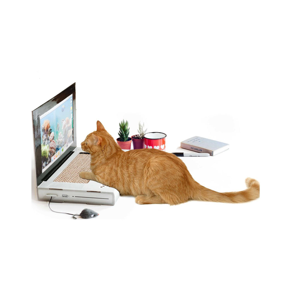 Cat Scratch Laptop D1034