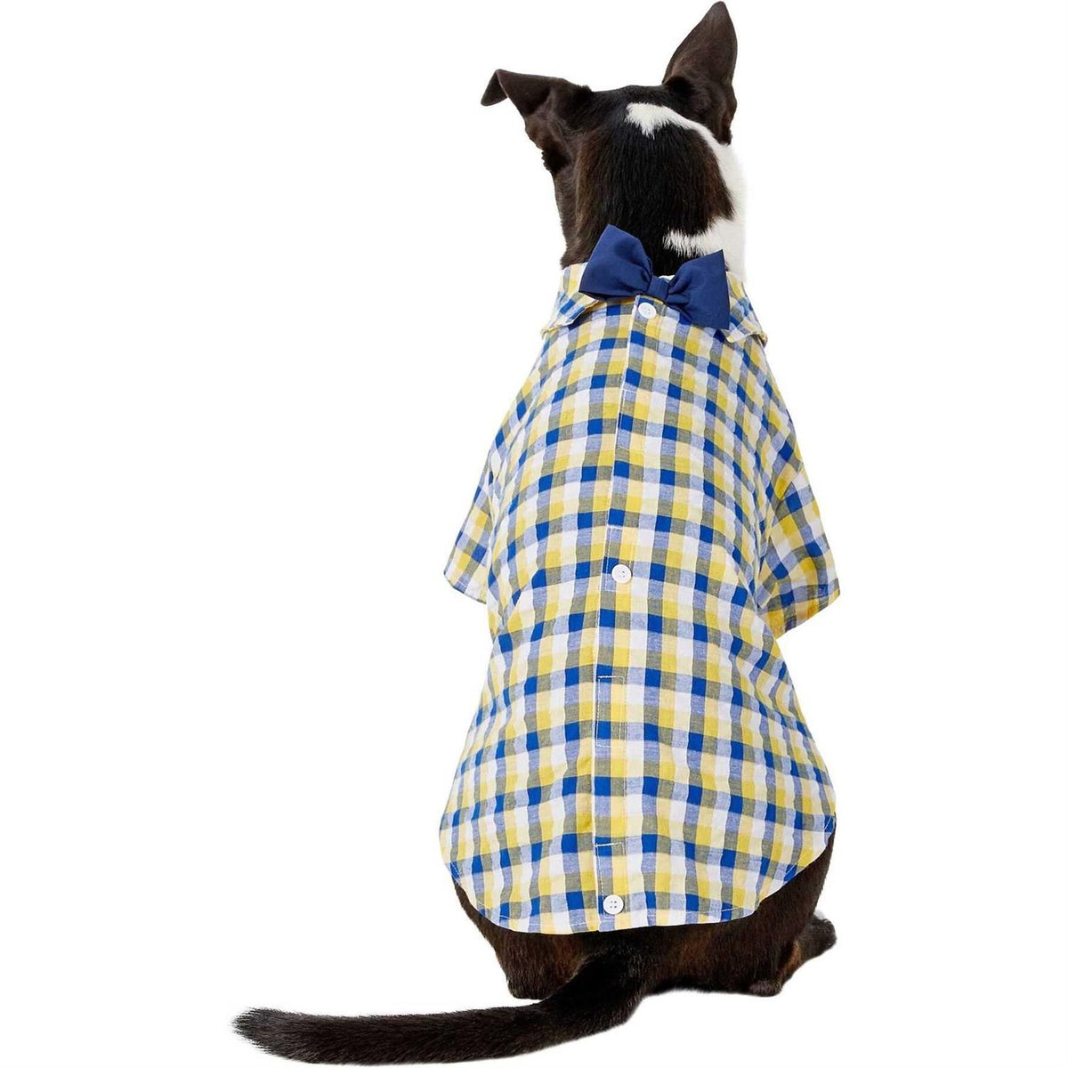 Parakeet Pet Supplies L6996