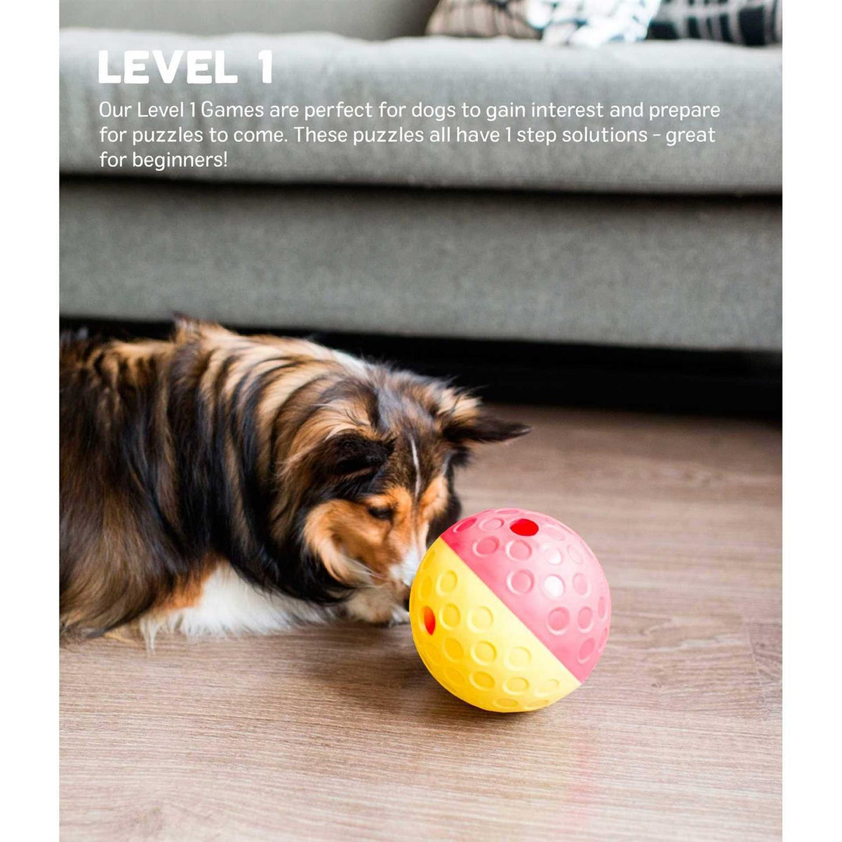 Treat Tumble Dog Toy B59470