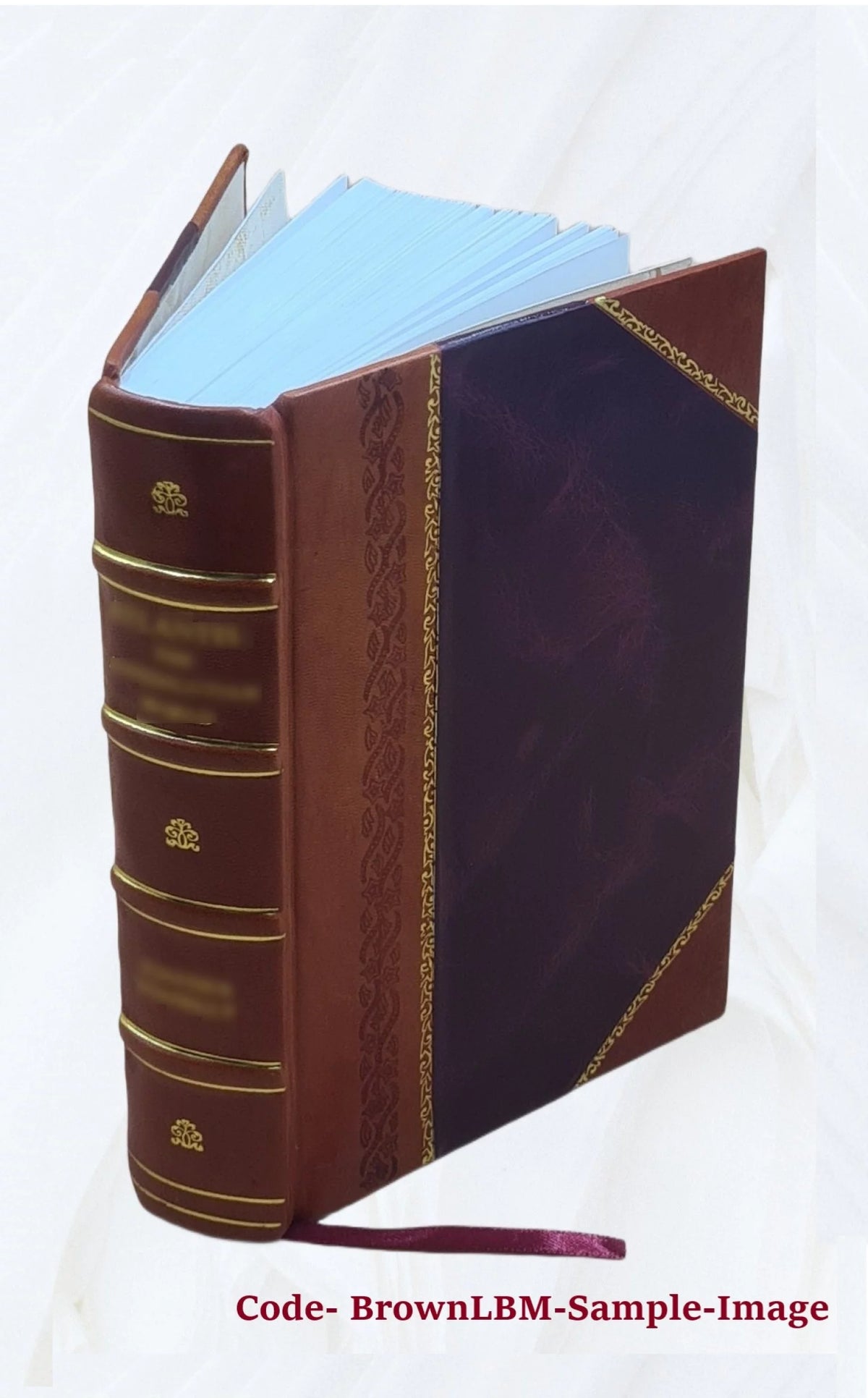 Lexicon of Medicine and the Allied Sciences Leather Bound P456