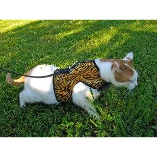 Cat Harness Y8797