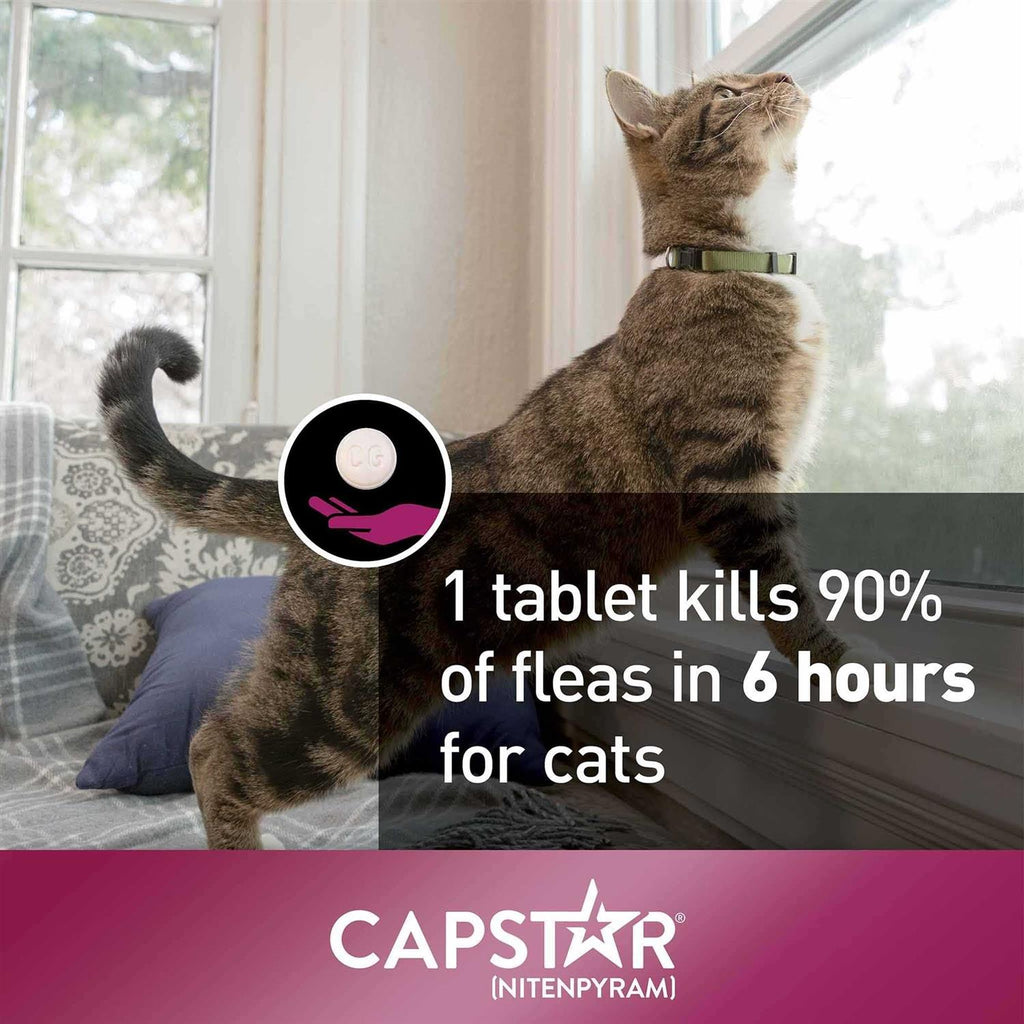 Capstar for Cats R7154