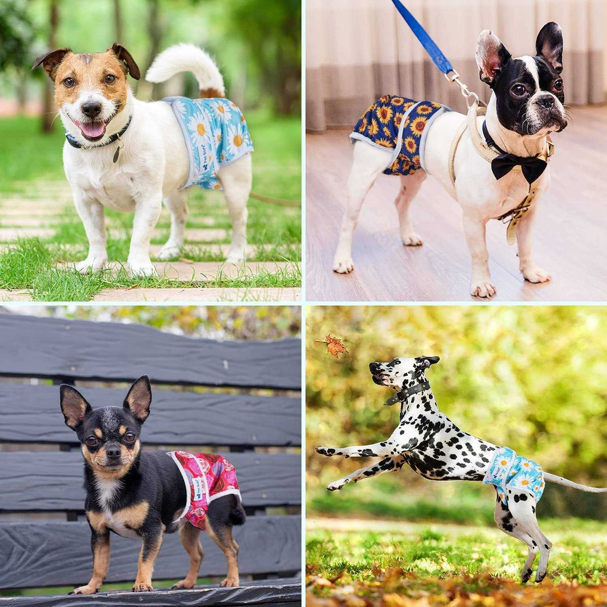 Washable Female Dog Diapers D732