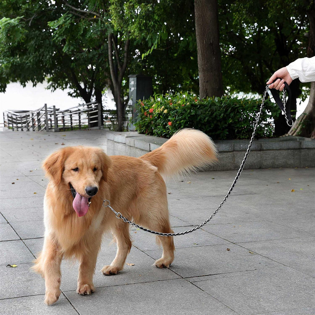 Chew Proof Metal Chain Dog Leash for Medium Large Dogs M42100