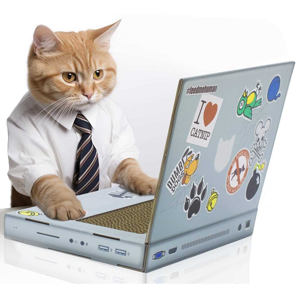 Cat Scratch Laptop D1034