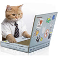 Cat Scratch Laptop D1034