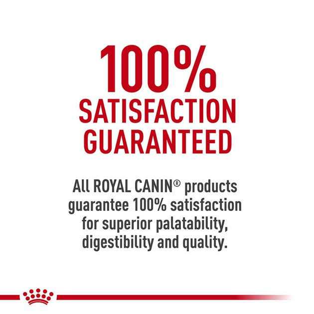 Ragdoll Adult Cat Food W998588