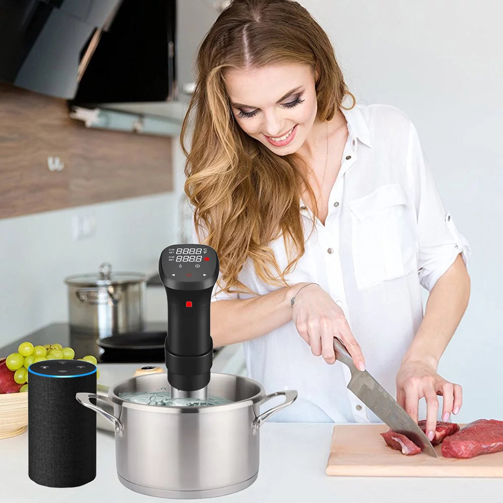 1100W Waterproof Electric Cooker L2760