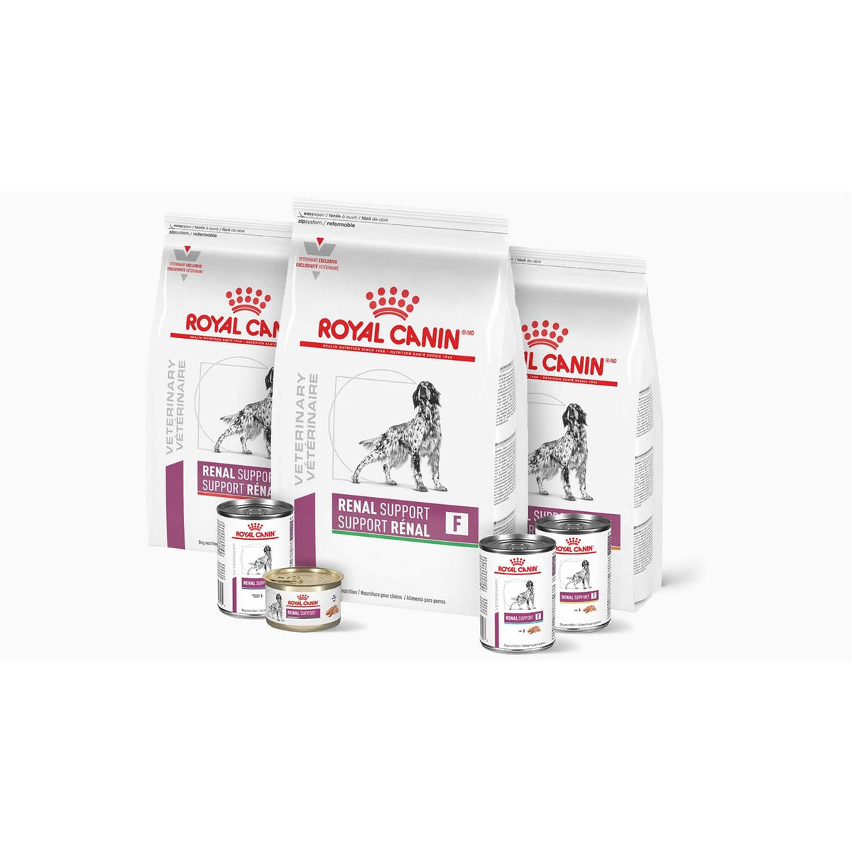 Veterinary Diet Renal Support Dry Dog Food T423915