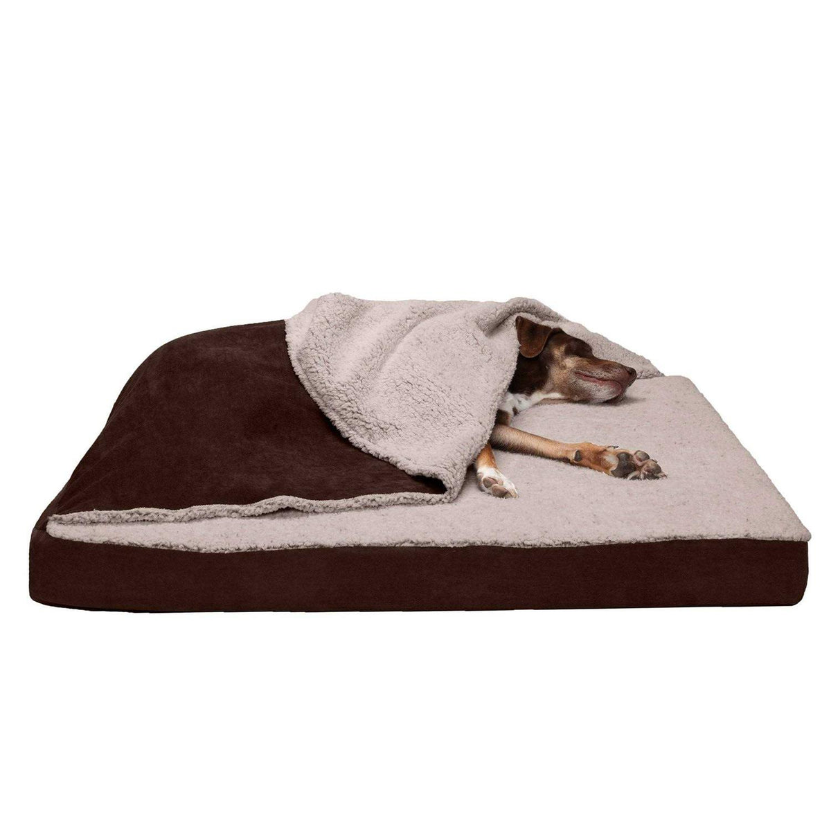 Blanket Top Dog Bed D3975
