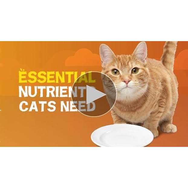 Wet Cat Food Gravy Z526