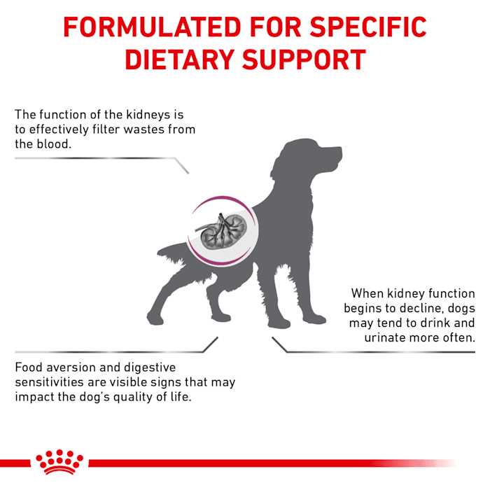 Veterinary Diet Renal Support Dry Dog Food T423915
