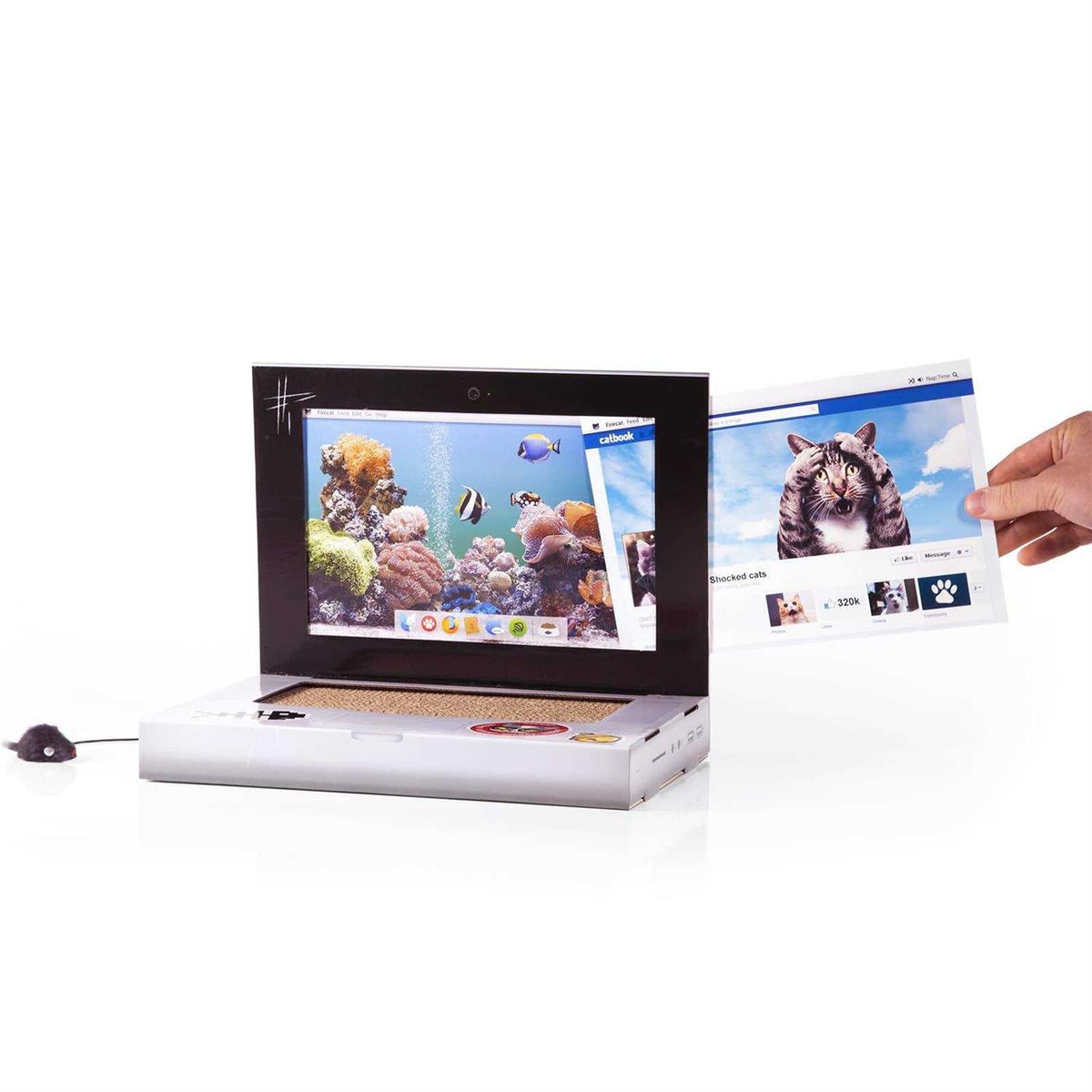 Cat Scratch Laptop D1034