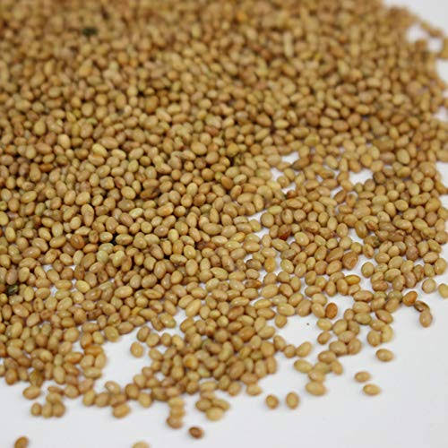 Crimson Clover Seeds, 25 lb Bulk, Non-GMO, Open Pollinated, Perennial, Heirloom, Clay Coated I67177