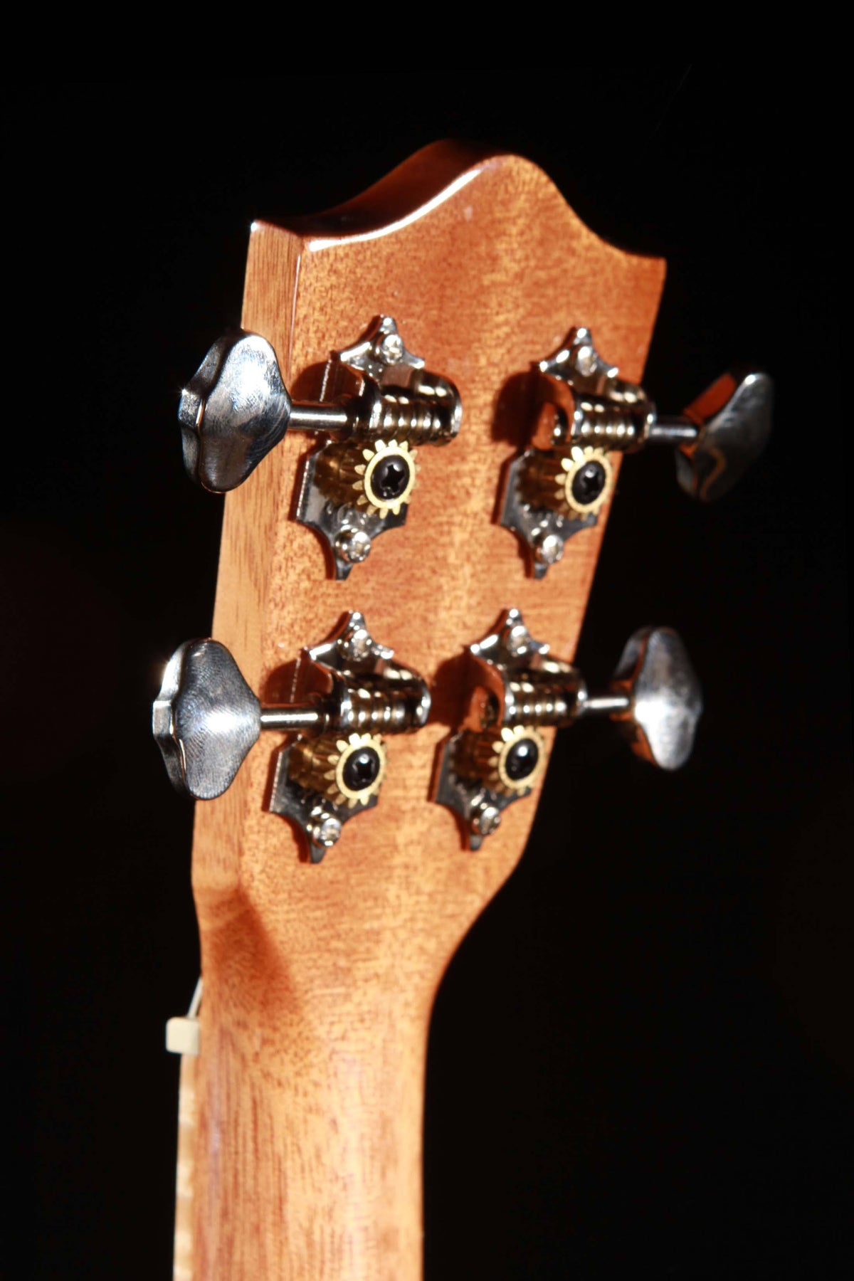 Solid Acacia Concert Ukulele T1119