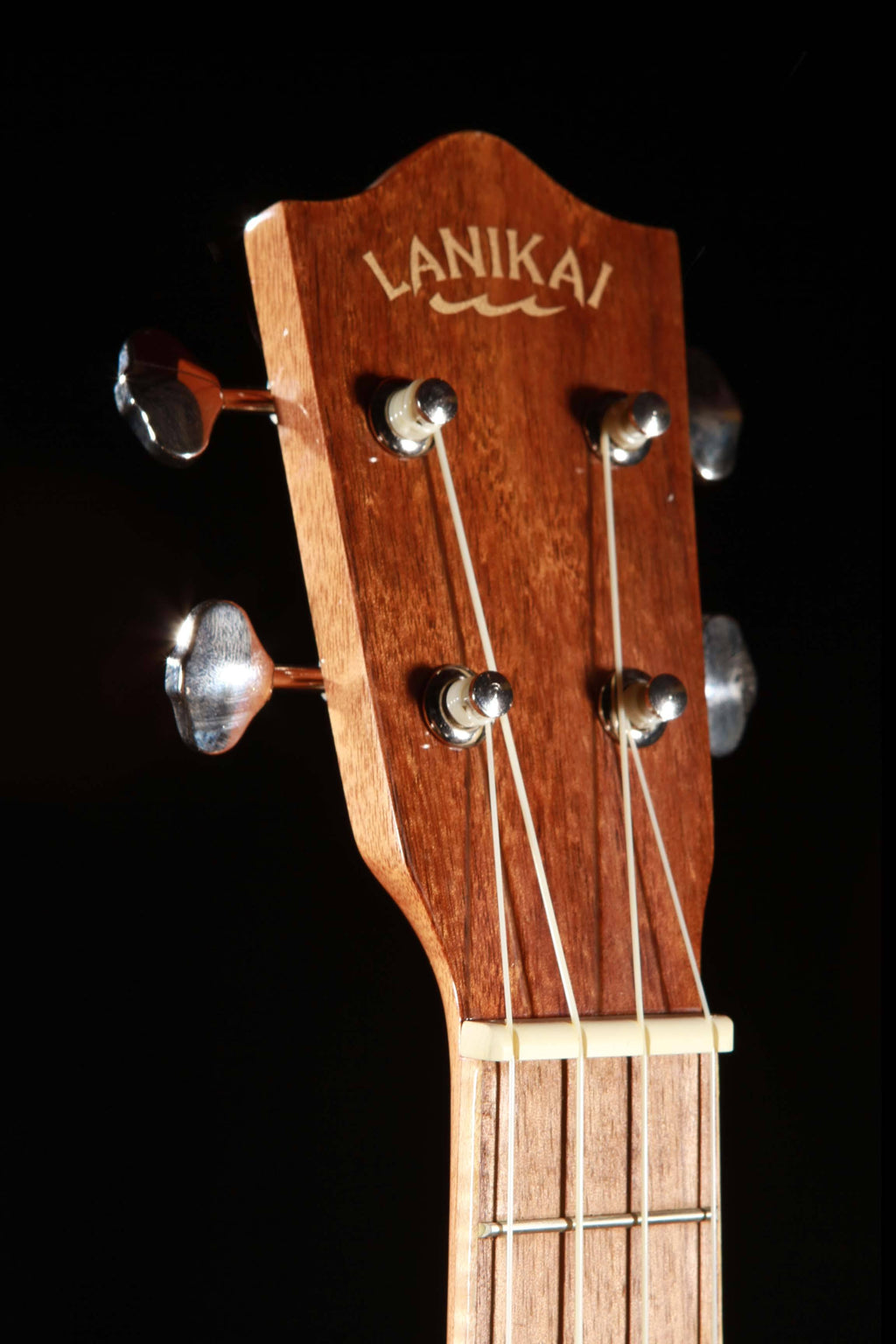 Solid Acacia Concert Ukulele T1119