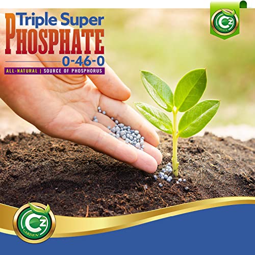 Triple Super Phosphate 0-46-0 Fertilizer TSP Pure Phosphorus Plant Food E211