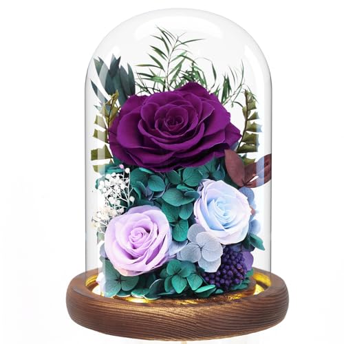 Preserved Purple Rose Flower Bouquet in Glass Dome V66025