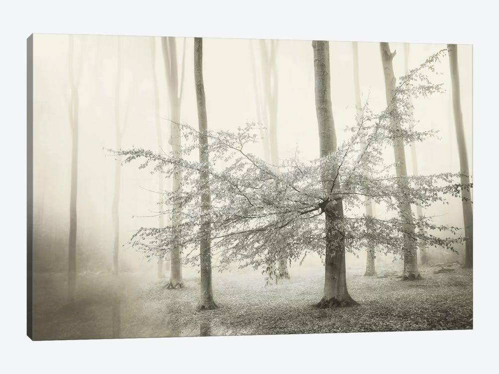 Canvas Art Prints C56469