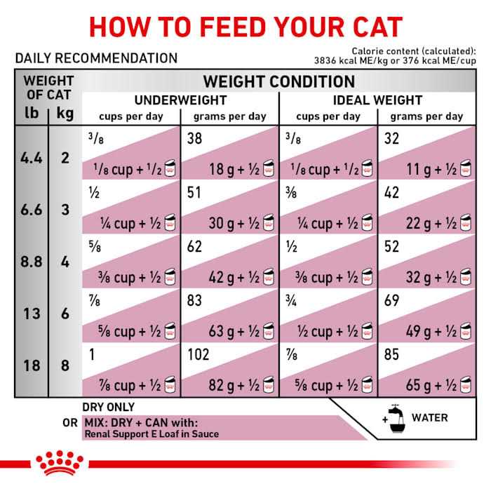 Veterinary Diet Feline Renal Support F Dry Food D13358