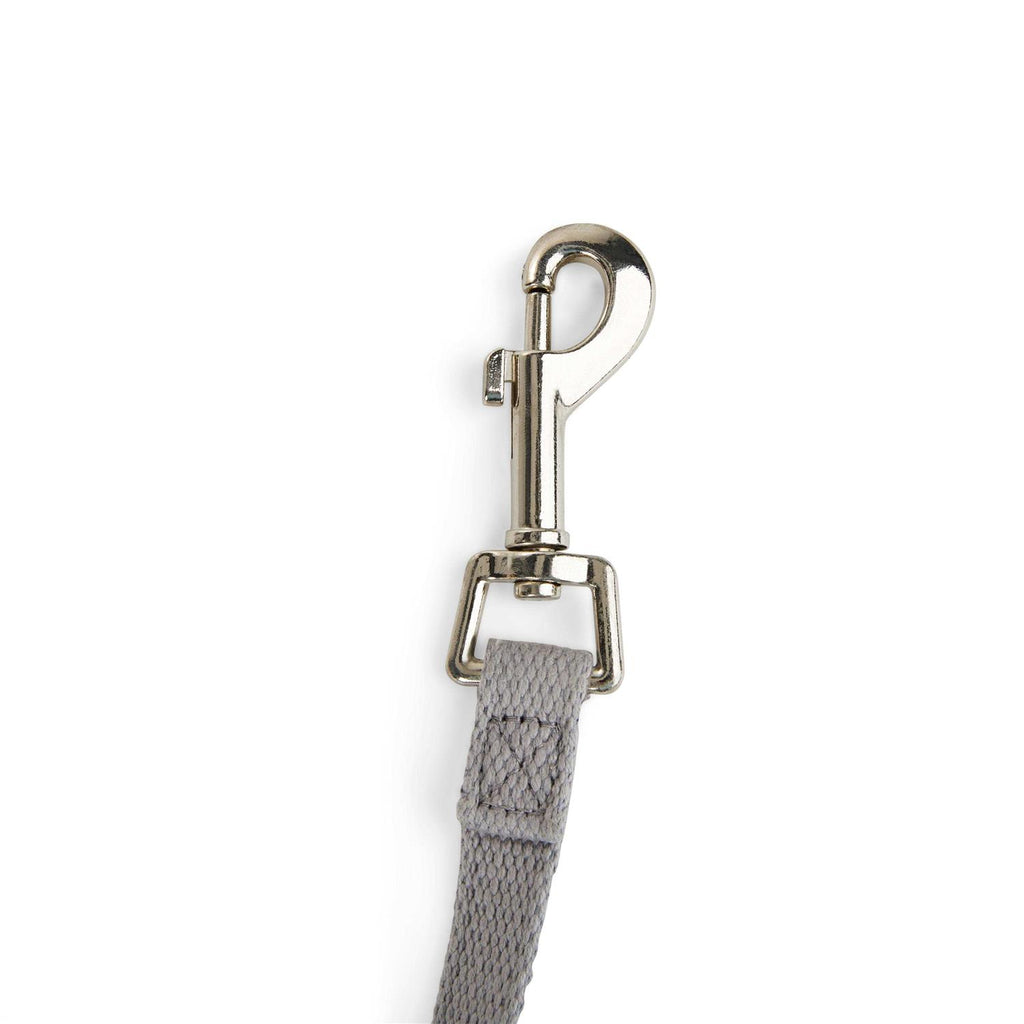 Adjustable Recall Training Dog Lead Z429994