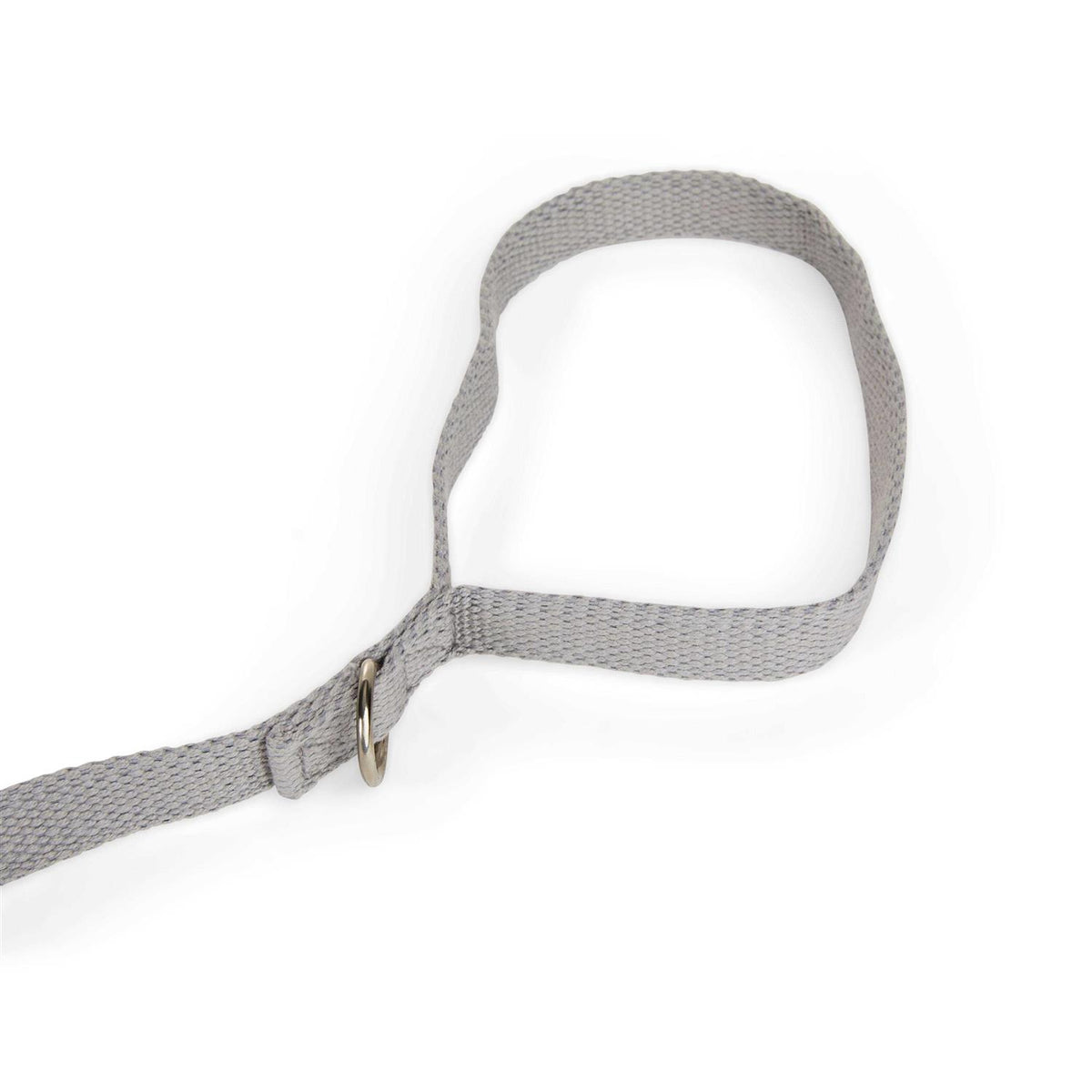 Adjustable Recall Training Dog Lead Z429994