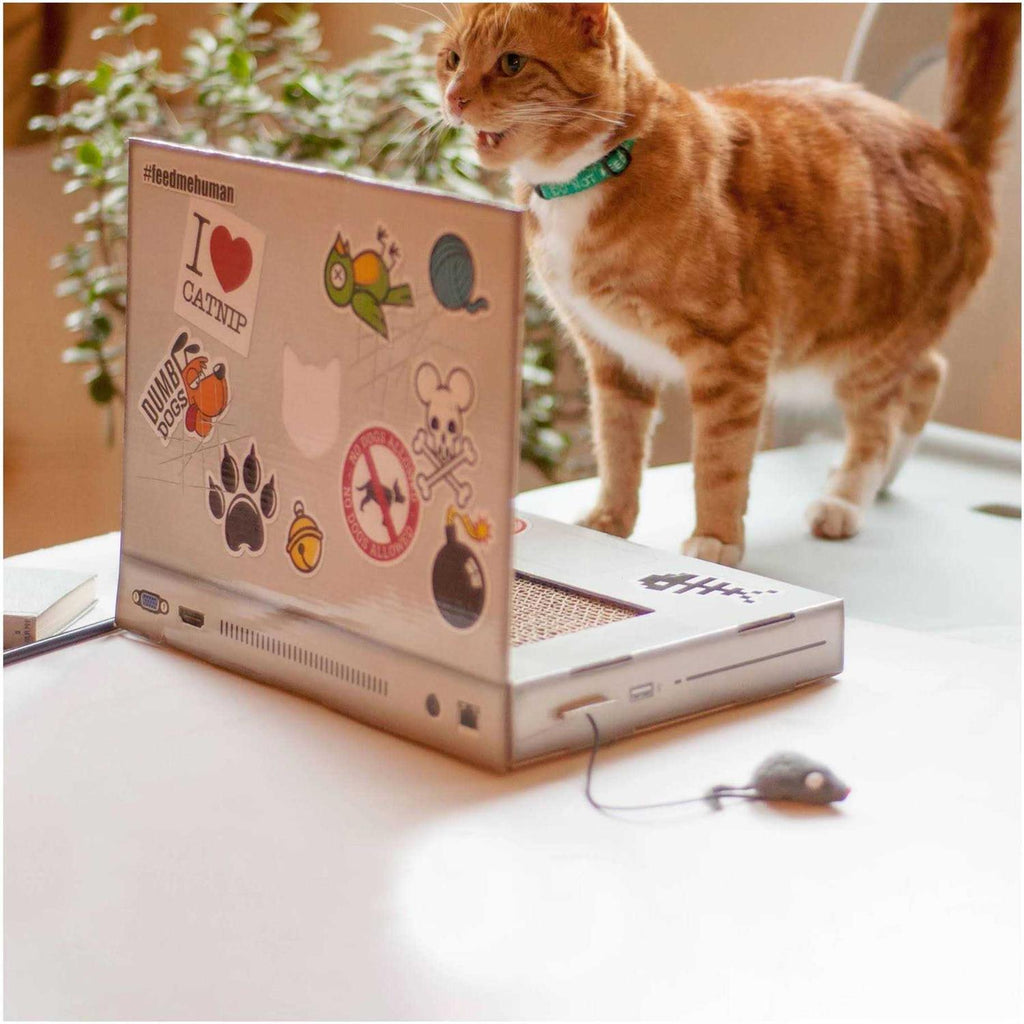 Cat Scratch Laptop D1034