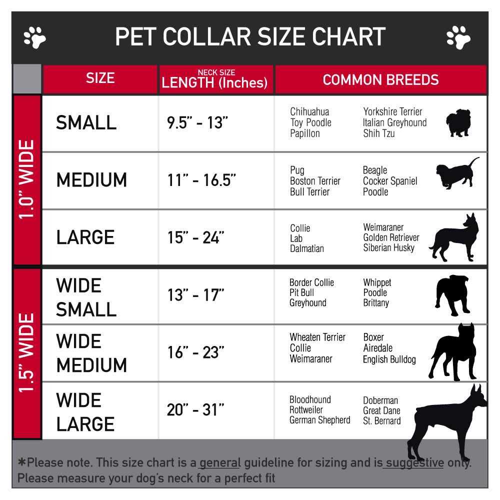 Seatbelt Dog Collar B44380