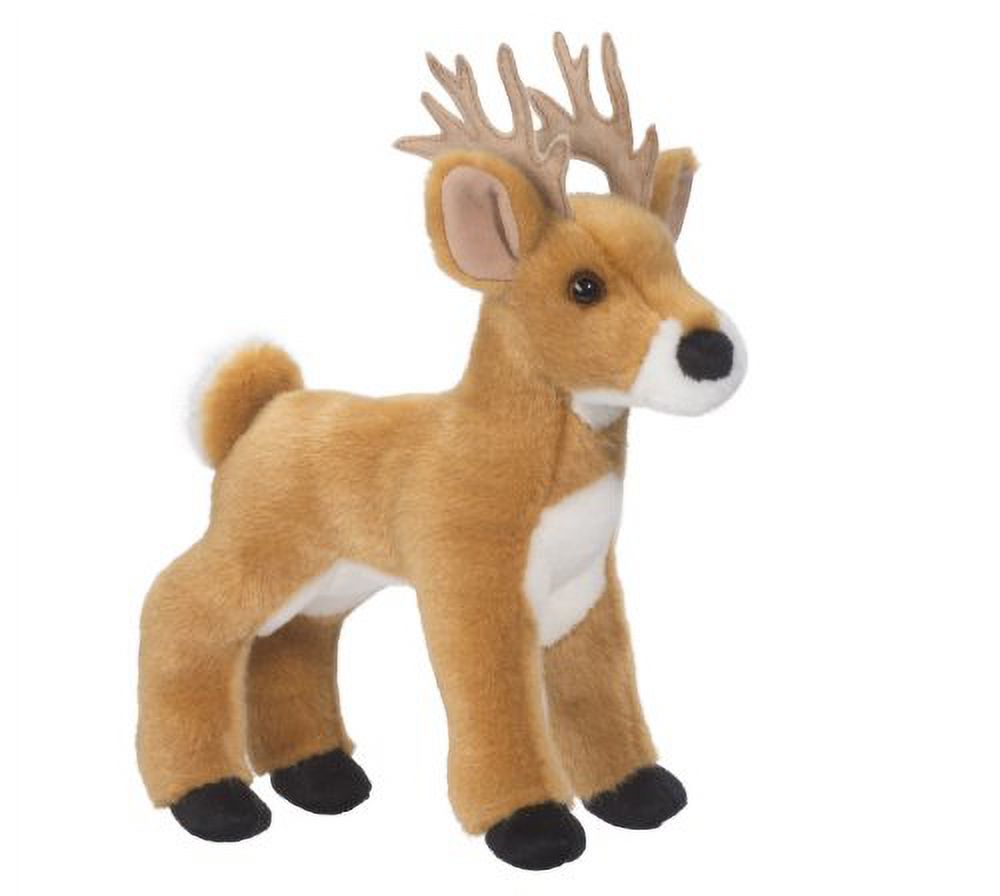 White Tail Deer B26922