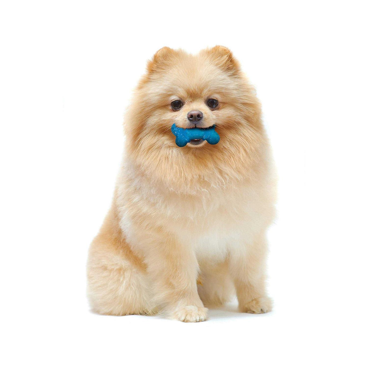 Bacon & Peanut Butter Flavor Chew Bone U1028