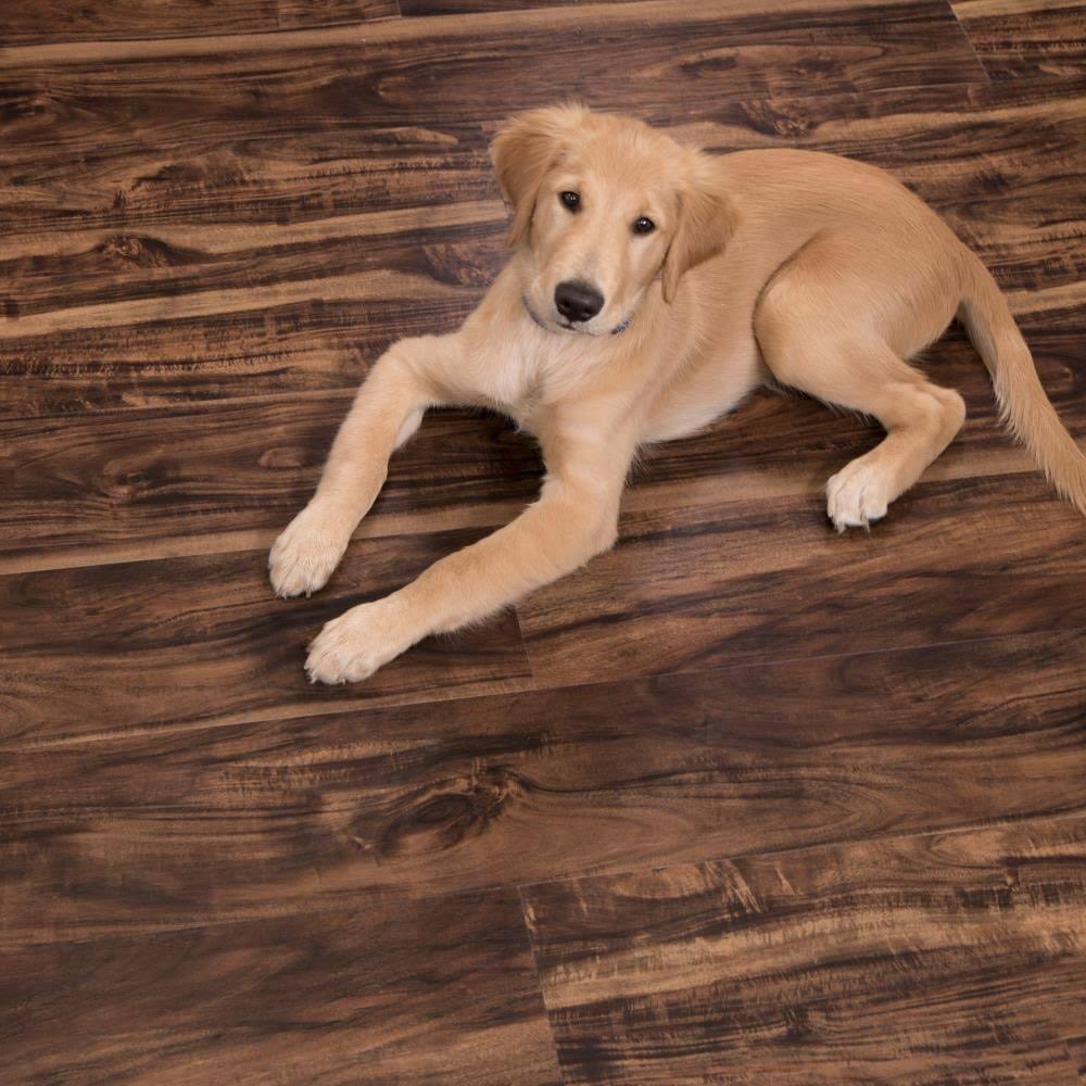 Walnut Creek Waterproof Luxury Vinyl Plank Flooring (23.77 Sq. ft) H967