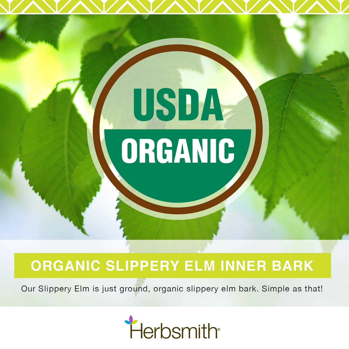 Slippery Elm Digestive Support D372