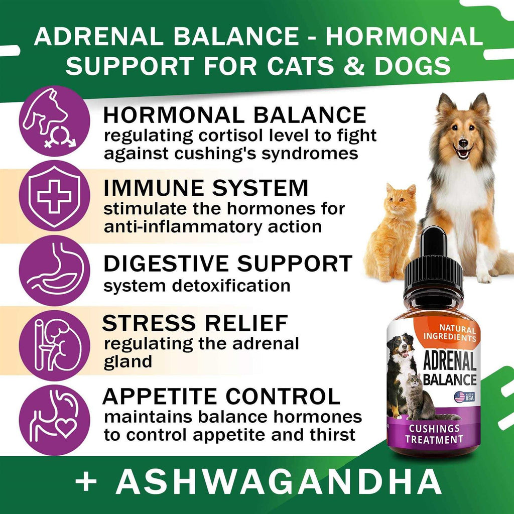 Adrenal Balance for Dogs and Cats V982