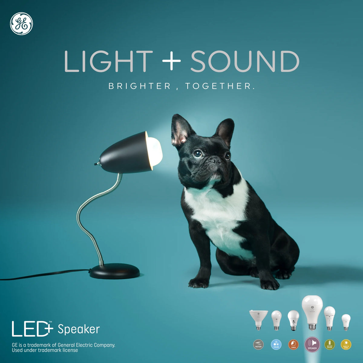 Soft White BR30 LED Light Bulb K56675