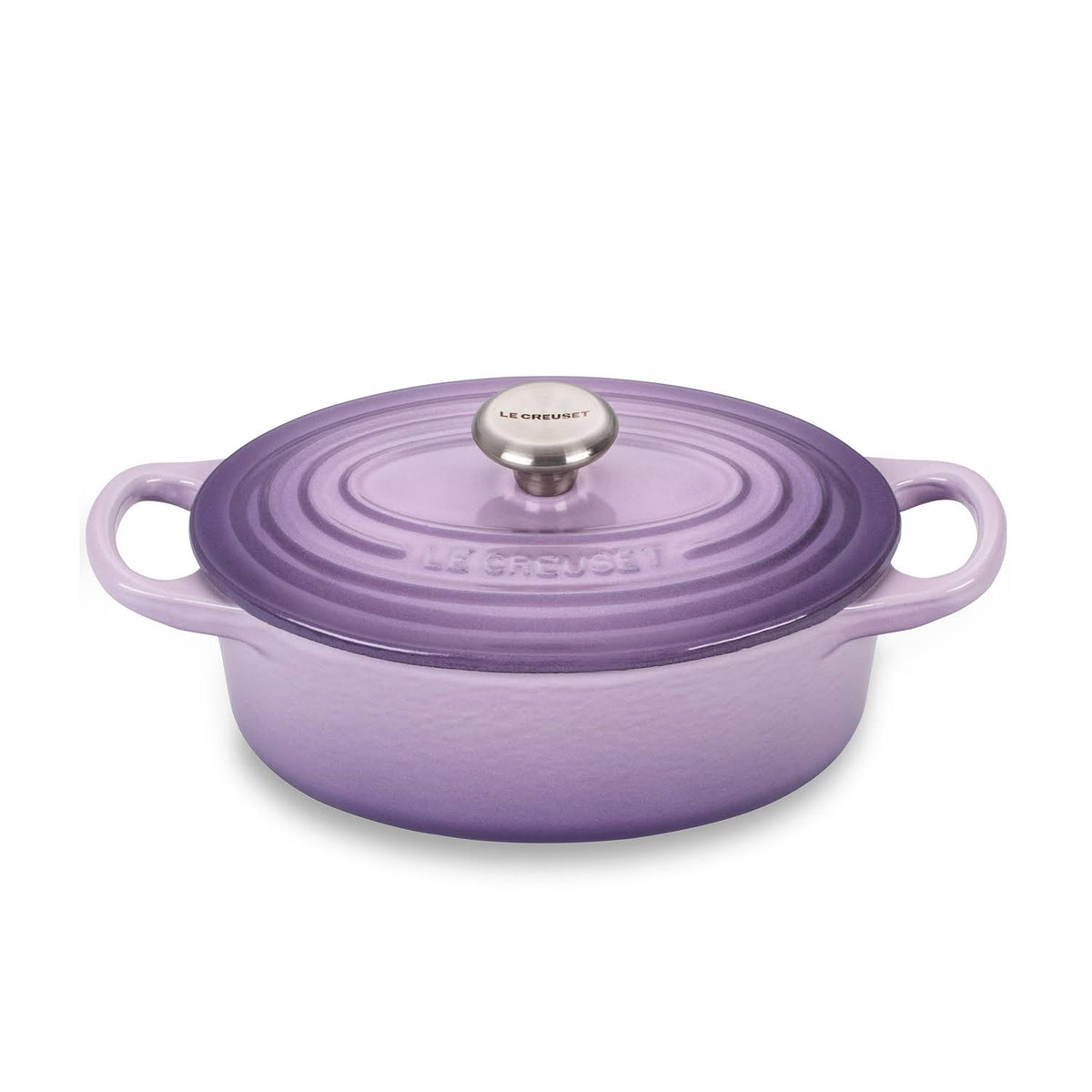 Oval Cast Iron 1-Qt. Dutch Oven J74193