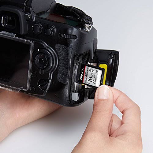 16GB Class 10 SDHC Flash Card I249