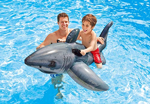 Inflatable Pool Float D25821