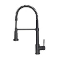 Kitchen Faucet L7756