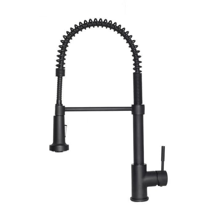 Kitchen Faucet L7756