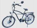 Adult Electric Bicycle D1004