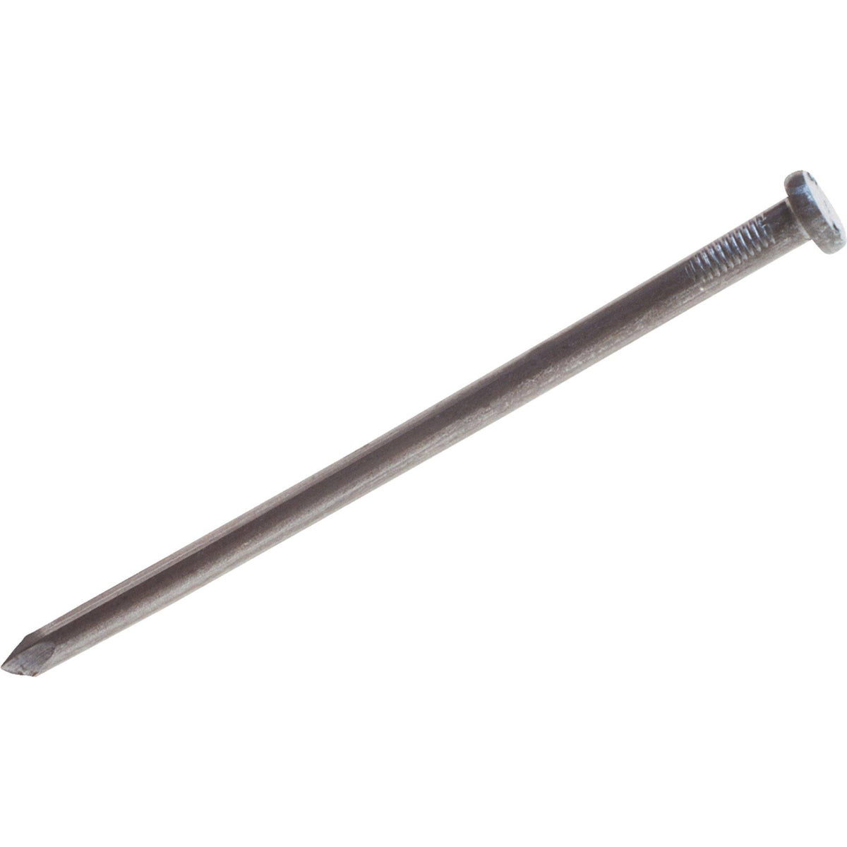 12spk Bright Landscape Spike B19825