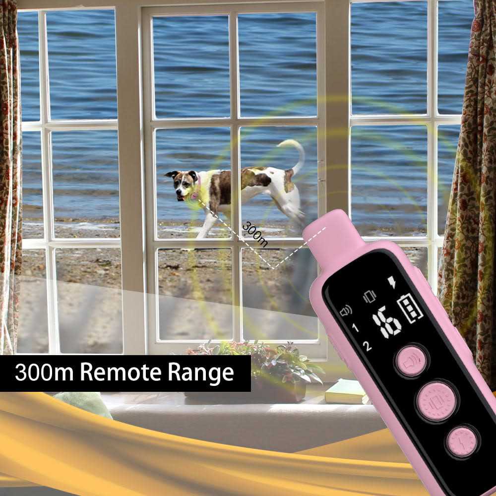Remote Training Collar for Dogs D898