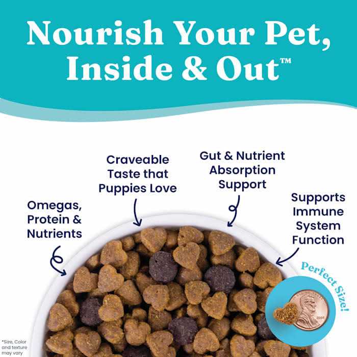 Solid Gold Chicken Dry Dog Food I862620