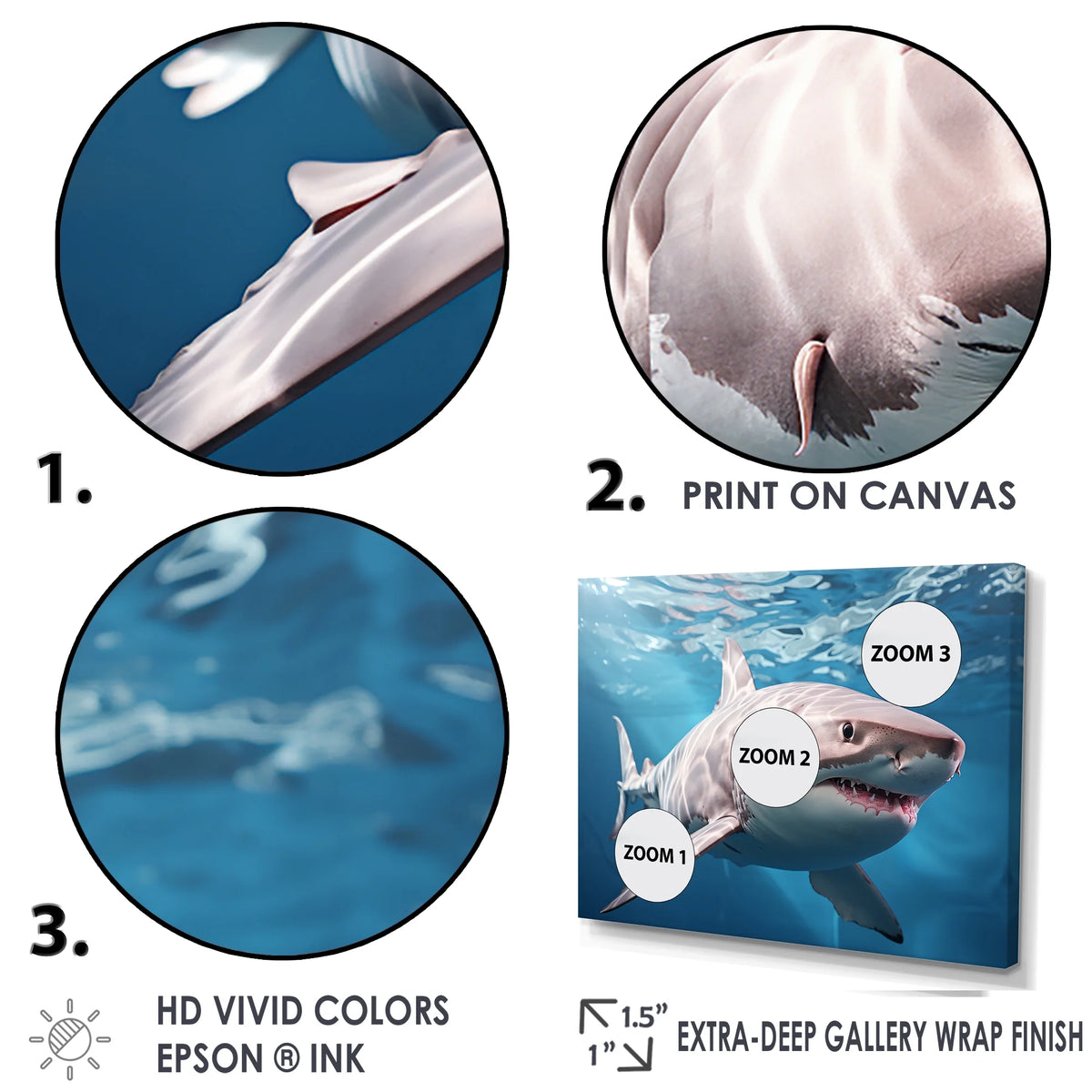 Shark Canvas Art Print V5919