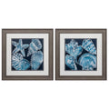 Distressed Wood Toned Frame Marine Shells (Set of 2) N666567