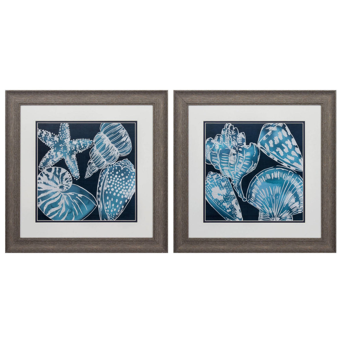 Distressed Wood Toned Frame Marine Shells (Set of 2) N666567