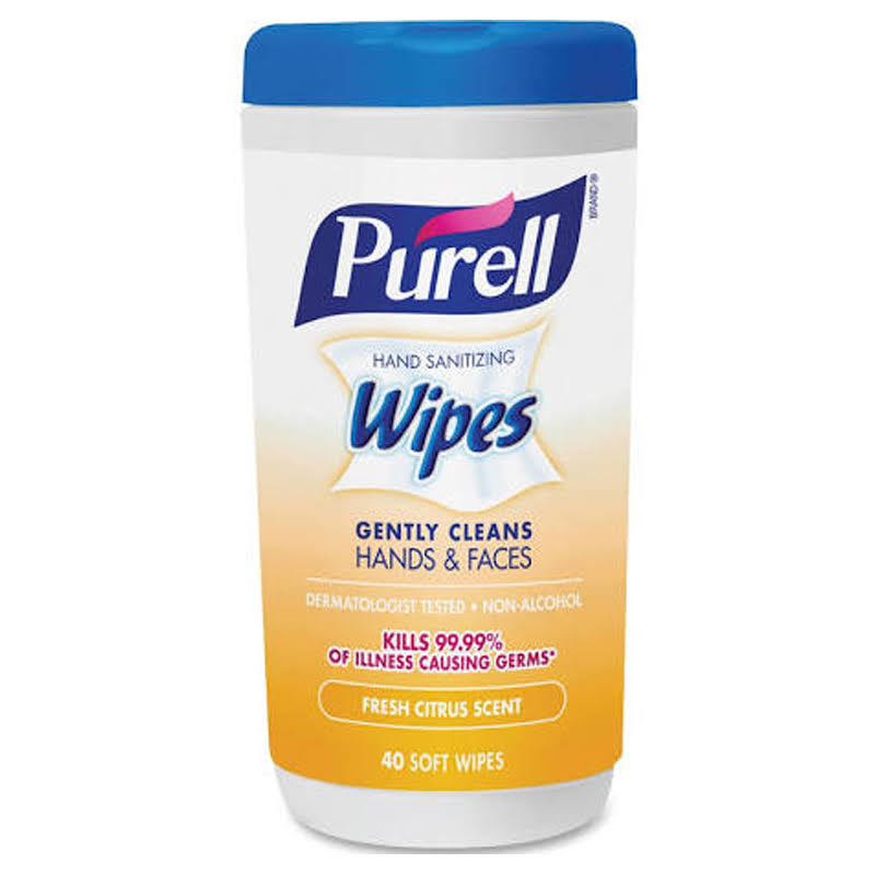 1 Case Hand Sanitizing Wipes X656950